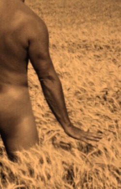 sixtysexyandfit:  Walking through the wheat naked. (Warning: