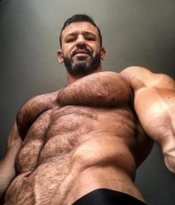 banjeebear:  musclecorps:    In all forms…