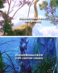 jurassicdaily:  Dinosaurs in the Jurassic Park films (1993-2015)