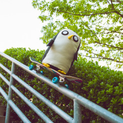 Gunter shredding it up! Check out NEW Adventure Time eps all