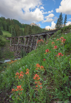 abandonedandurbex:  The last remaining railroad bridge of the