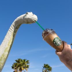 frappuccino:  Sipasaurus. #sipface