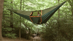 pizzaforpresident:  I want a hammock tent 