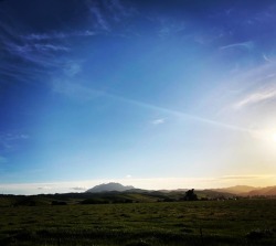 Beautiful spring evening in East County. Open fields. Green grass.