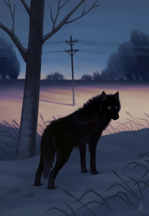 dappermouth:Black wolf, I think I knew you once.