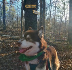 maxandmaeby:  morning walk around camp