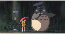 oh-totoro:  It seems ridiculous to remake and repost a gif that