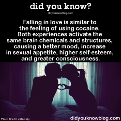 did-you-kno:  Falling in love is similar to the feeling of using