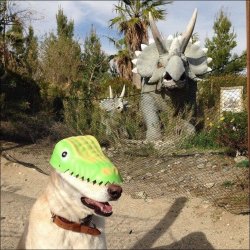 barkingbunny:  Jurrasic World looks great  😏