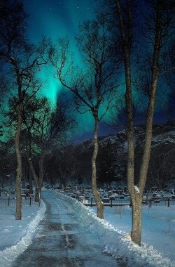 triguy3:  themagicfarawayttree:  Northern lights.  TumbleOn)