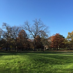 supreme-peace:  #nofilter #noedit #grass #sky