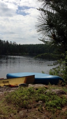 scent-of-pine:Pickerel Lake, Quetico Provincial Park One of the