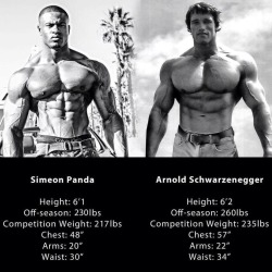 stayhungry-getbig:  gymaholic92:  who do you like better?  Arnold