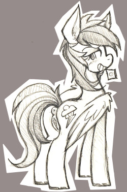 pervertedblue:  RainbowDash Smut, for friend who likes Rd  wowowowowowow