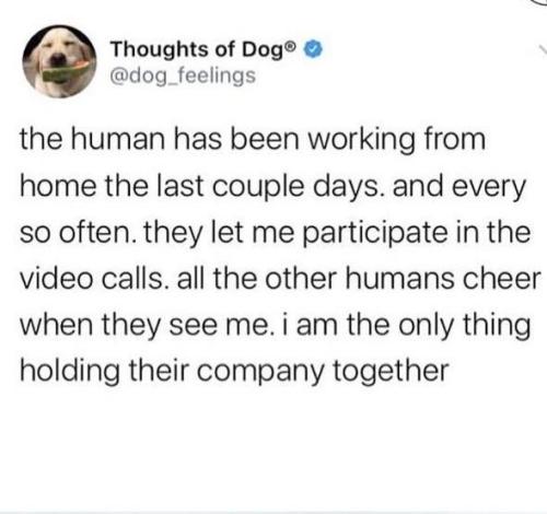 👀
