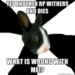 fyeahroleplayingrabbit:  I TRY, OH MY GOD DO I TRY