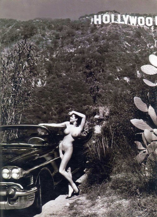 Barbara Edwards by Helmut Newton