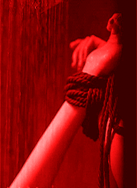 disconnectsdarkdiary