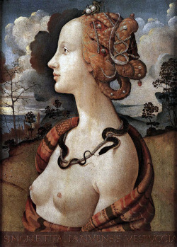 masterpiecedaily:  Piero di Cosimo Portrait of Simonetta Vespucci