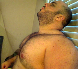 gay-bears:  Bear gays doing kinky things live on free webcams