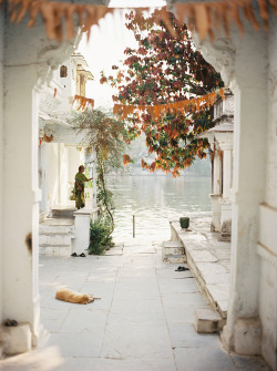 englishsnow:  Udaipur by Andrew Jacona 