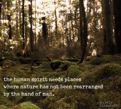 el espíritu humano tiene necesidad de lugares  donde la naturaleza