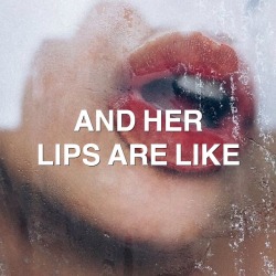 bottleblnd: artic monkeys // arabella