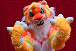 This is one of the cutest fursuits i’ve ever seen :F The tongue