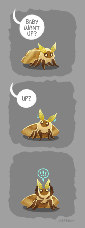 sabrebash:  dreamed there was this big moth with the soul of