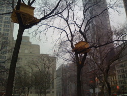 quickienewyork:  (Picture of Madison Sq Park Treehouse Art Installation)The