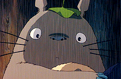 lucyliued-deactivated20210528:  Favorite Characters | Totoro(s)