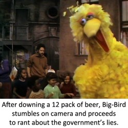 memeguy-com:  Big Birds got a problem