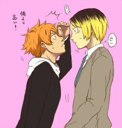 eyecandybutts:  hinata just realized he is shorter than kenma