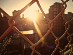 citylandscapes:  Last burst if daylight, Manhattan Bridge  Source-
