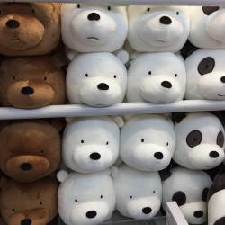 webareebears:  Bear plushies that are in harajuku shop Japan