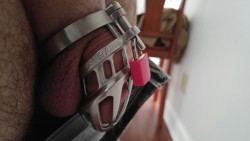 yefimovich989:  Shiny new cage, no way to pull out & no need