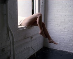 christinajorro:michelle’s limbs, brooklyn 2013