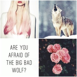 his-braveheart:  midniightrains:dw aesthetic: rose marion tyleri’m