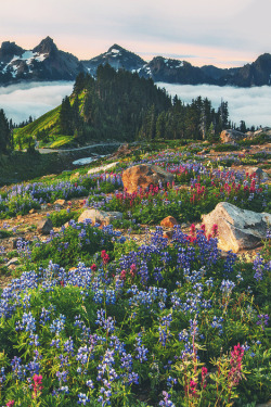 mstrkrftz:  Eternal Beauty  by Aaron Reed  