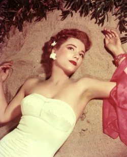 vintagechampagnefever:  Anne Baxter  