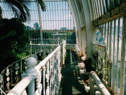 samfryerr:  kew gardens is so pretty 