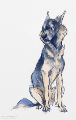 rusakko-art:Scribble of my dog before hitting the hay