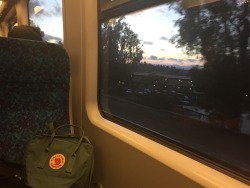 dandeliohns:  i love train rides during sunsets
