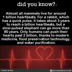 did-you-know: Almost all mammals live for around 1 billion heartbeats. 