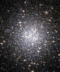 astronomicalwonders:  Globular Star Cluster - M53 Star Cluster