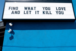 terrysdiary:  FIND WHAT YOU LOVE AND LET IT KILL YOU 