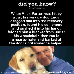 did-you-kno:  did-you-kno:  When Allen Parton was hit by a car,