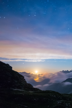 tulipnight:   Endless Dreams by ferle on Flickr. 