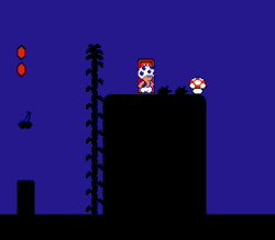 suppermariobroth:  In Super Mario Bros. 2, if you play as Toad