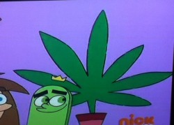 sstonnedd:  I knew Cosmo was high all the time 